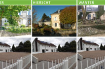 Fleurs du mois de septembre – Origan et Saliaire